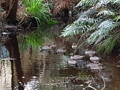 Strahan Retreat Holiday Park - Kingaroy Accommodation 24