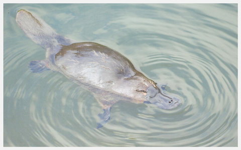 Strahan Retreat Holiday Park - Kingaroy Accommodation 20