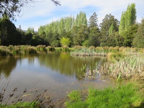 Giants Table And Cottages - Kingaroy Accommodation 25