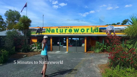 Bicheno Cabin Park - Kingaroy Accommodation 6