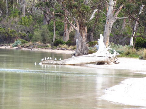 The Boat Shed - Kingaroy Accommodation 12
