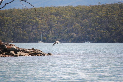 A Slice Of Paradise - Kingaroy Accommodation 18