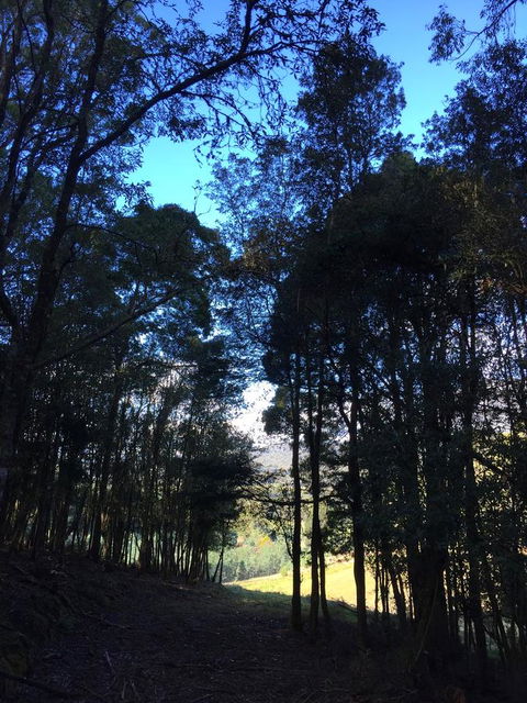 Manna Hill Farm - Kingaroy Accommodation 27