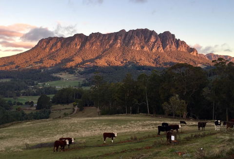 Manna Hill Farm - Kingaroy Accommodation 10