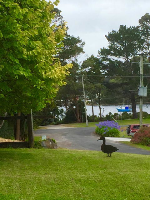 Wandering Geese Boutique Bed And Breakfast - Kingaroy Accommodation 15