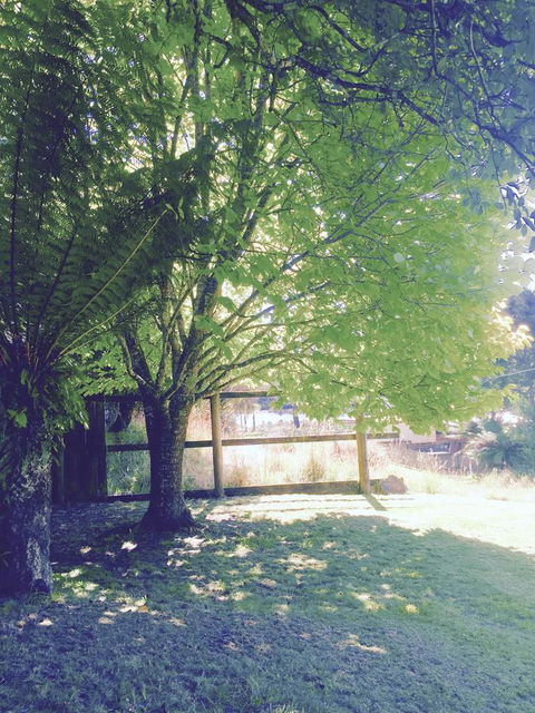 Wandering Geese Boutique Bed And Breakfast - Kingaroy Accommodation 30