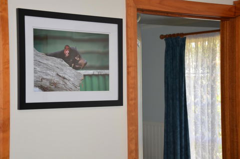 Castaway Holiday Apartments - Kingaroy Accommodation 3