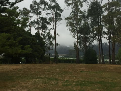Amble\'a\'While On Tamar - Kingaroy Accommodation 39