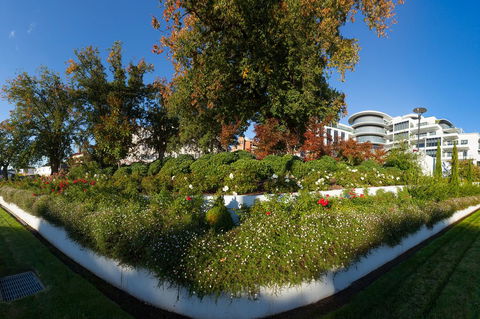Mantra Charles Hotel - Kingaroy Accommodation 10