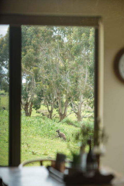 Adventure Bay Retreat Bruny Island - Kingaroy Accommodation 7