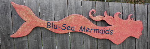 Mermaids Of Bicheno - Kingaroy Accommodation 16