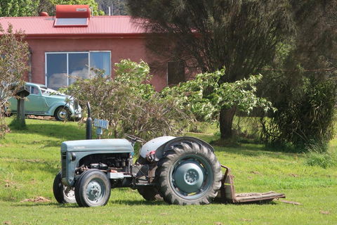 Cherry Top Farmstay - Boutique Eco Village - Kingaroy Accommodation 25