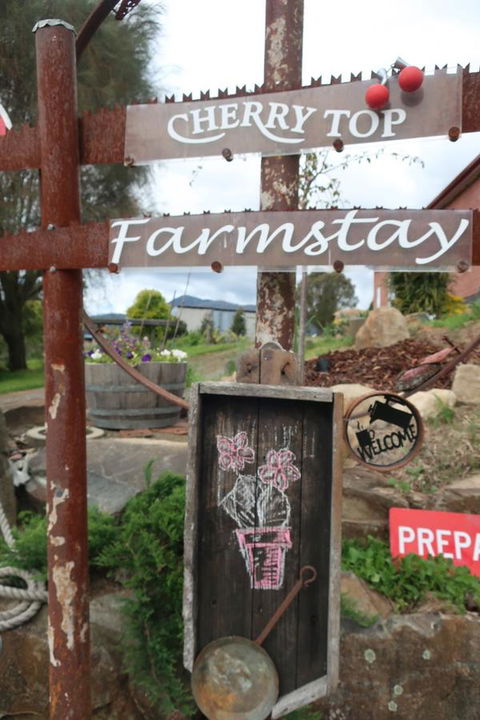 Cherry Top Farmstay - Boutique Eco Village - Kingaroy Accommodation 5