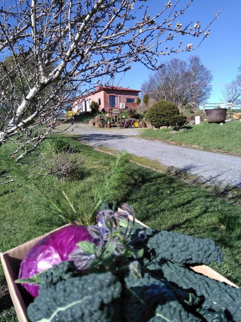 Cherry Top Farmstay - Boutique Eco Village - Kingaroy Accommodation 23