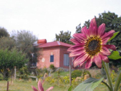 Cherry Top Farmstay - Boutique Eco Village - Kingaroy Accommodation 27