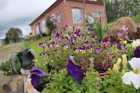 Cherry Top Farmstay - Boutique Eco Village - Kingaroy Accommodation 7