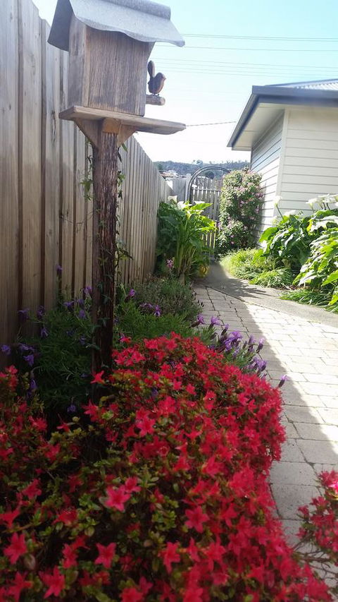 Driftwood-Cottage - Kingaroy Accommodation 16