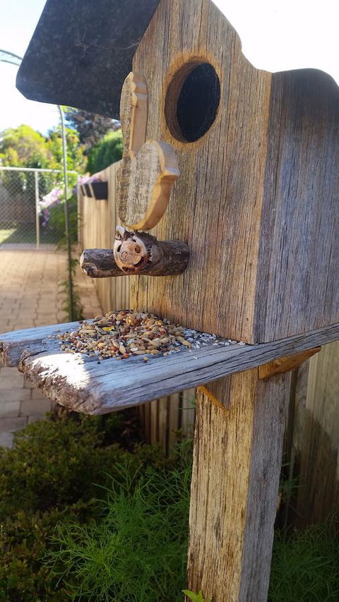 Driftwood-Cottage - Kingaroy Accommodation 29