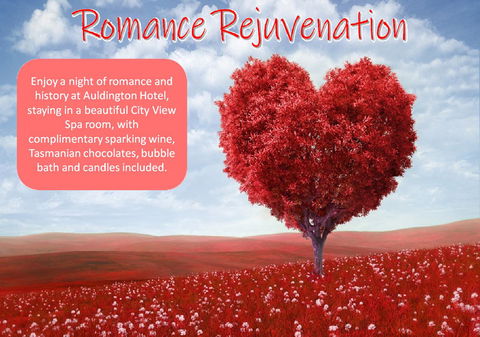 Auldington Hotel - Kingaroy Accommodation 6