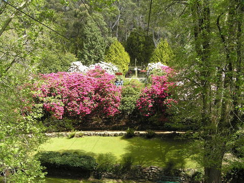 Auldington Hotel - Kingaroy Accommodation 23