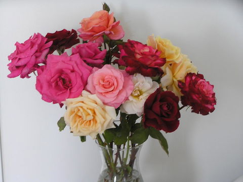 Auldington Hotel - Kingaroy Accommodation 30