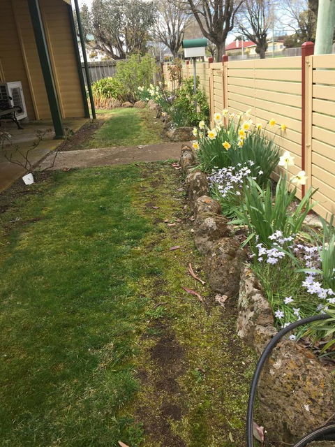 Our Cottage - Kingaroy Accommodation 1