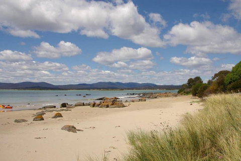 Willowmere - Kingaroy Accommodation 21