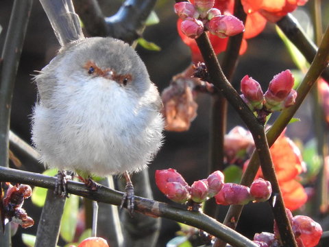 Tamar House - Kingaroy Accommodation 17