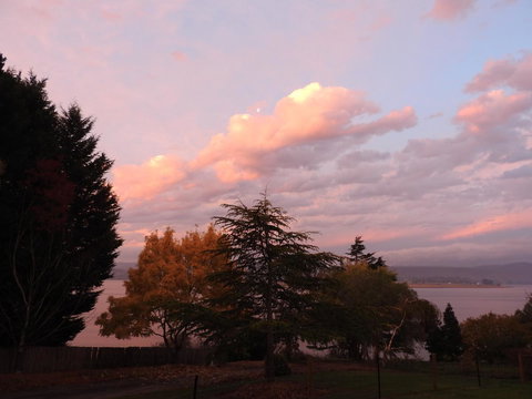 Tamar House - Kingaroy Accommodation 27