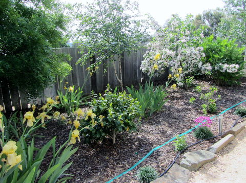 Elm Trees Accommodation @ Ross - Kingaroy Accommodation 6