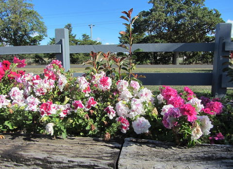 Elm Trees Accommodation @ Ross - Kingaroy Accommodation 25