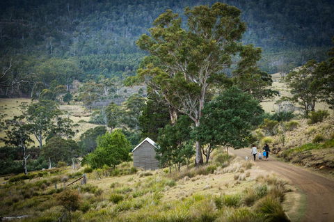 Twamley Farm - Kingaroy Accommodation 16