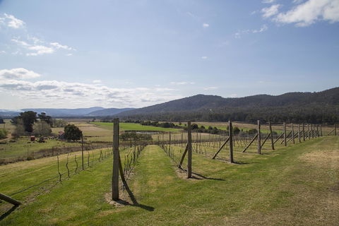 Twamley Farm - Kingaroy Accommodation 7