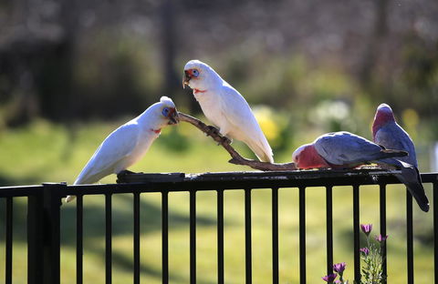 Riverwalk B&B - Kingaroy Accommodation 28