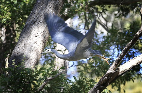 Riverwalk B&B - Kingaroy Accommodation 15
