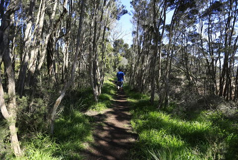Riverwalk B&B - Kingaroy Accommodation 31