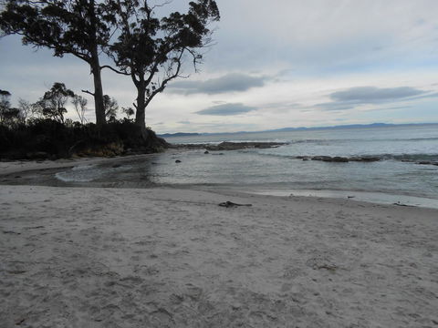 Bruny Ocean Cottage - Kingaroy Accommodation 7
