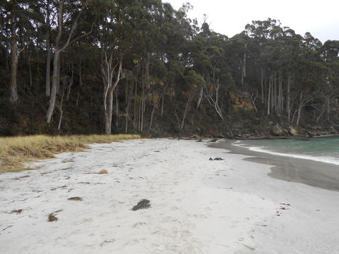 Bruny Ocean Cottage - Kingaroy Accommodation 12