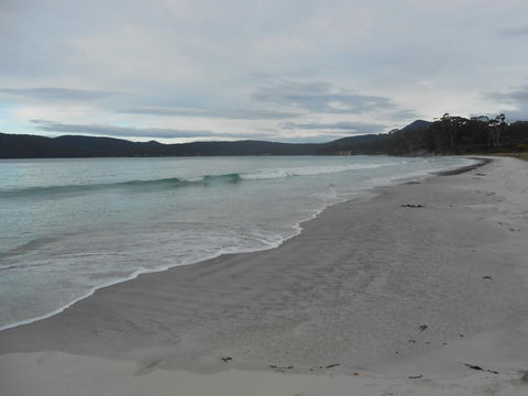 Bruny Ocean Cottage - Kingaroy Accommodation 11