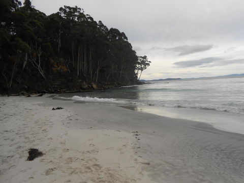 Bruny Ocean Cottage - Kingaroy Accommodation 17