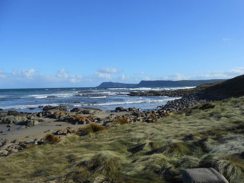Bruny Ocean Cottage - Kingaroy Accommodation 15