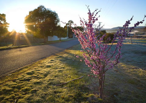 The Storekeeper\'s - Kingaroy Accommodation 14