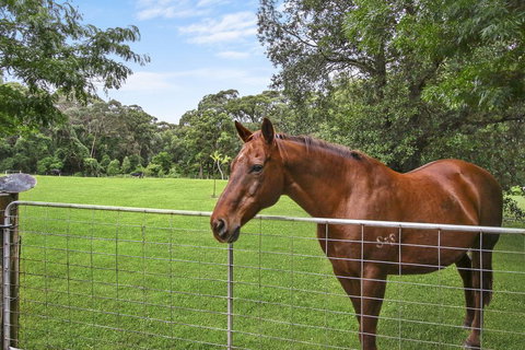 NUNGAROO COTTAGE - Kingaroy Accommodation 3