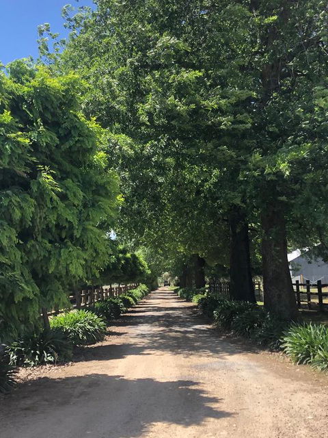 Oak Lane Guest House & Farm Stay - Kingaroy Accommodation 0