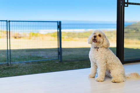Ocean Paradise - Kingaroy Accommodation 2