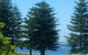 Ocean Vista Beach Stay - thumb 2
