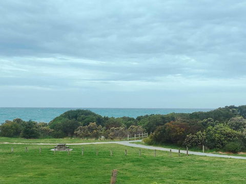 ODYSSEY APOLLO BAY - Kingaroy Accommodation 2