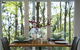 Olinda Forest Retreat With Spa - thumb 3