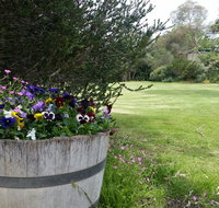 Padthaway Caravan Park - Kingaroy Accommodation