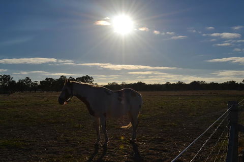 Penny's Place In The Pyrenees - Kingaroy Accommodation 1